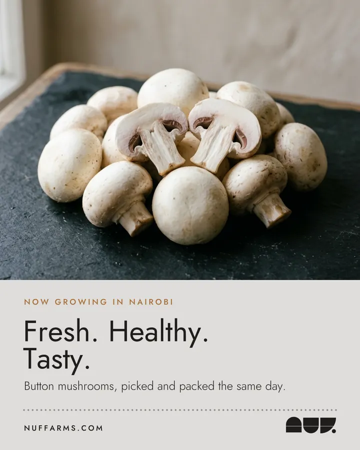 Poster: Fresh. Healthy. Tasty.
